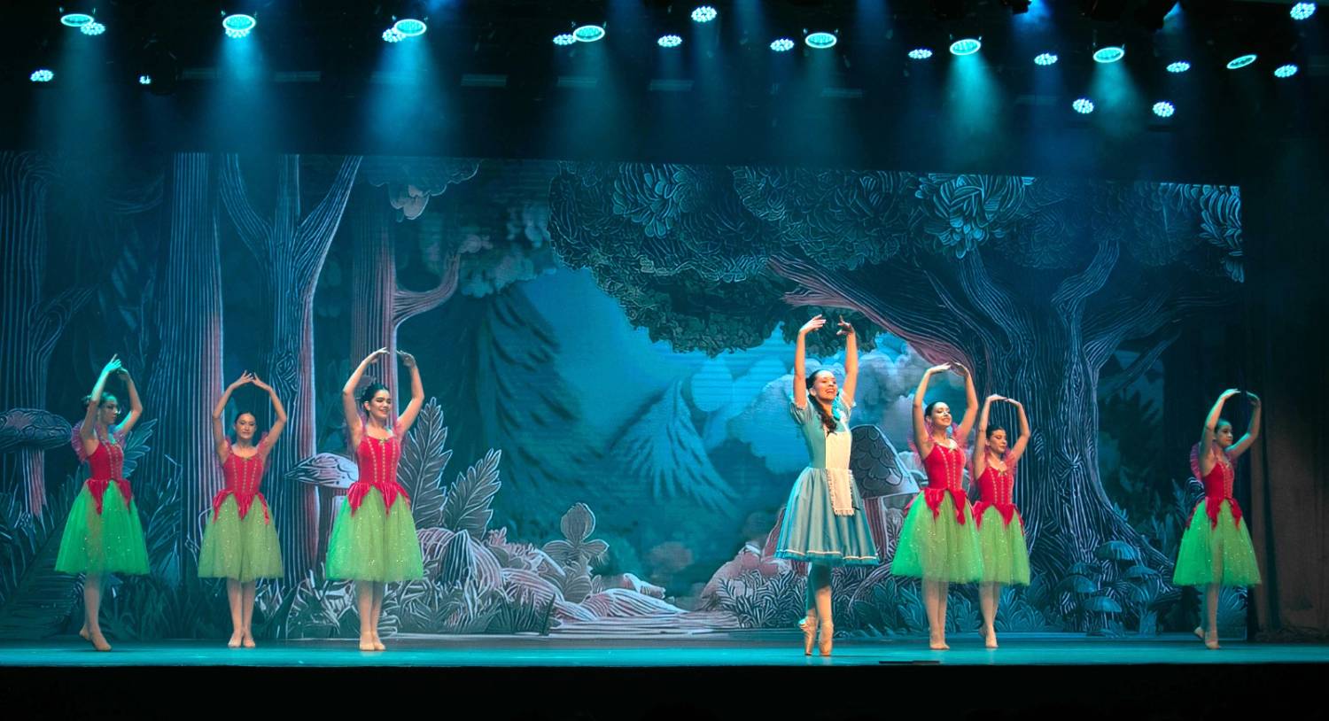 Alice no País das Maravilhas / 3ª Noite