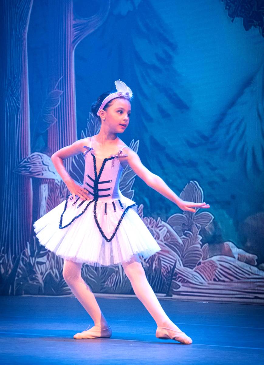 Alice no País das Maravilhas / 3ª Noite