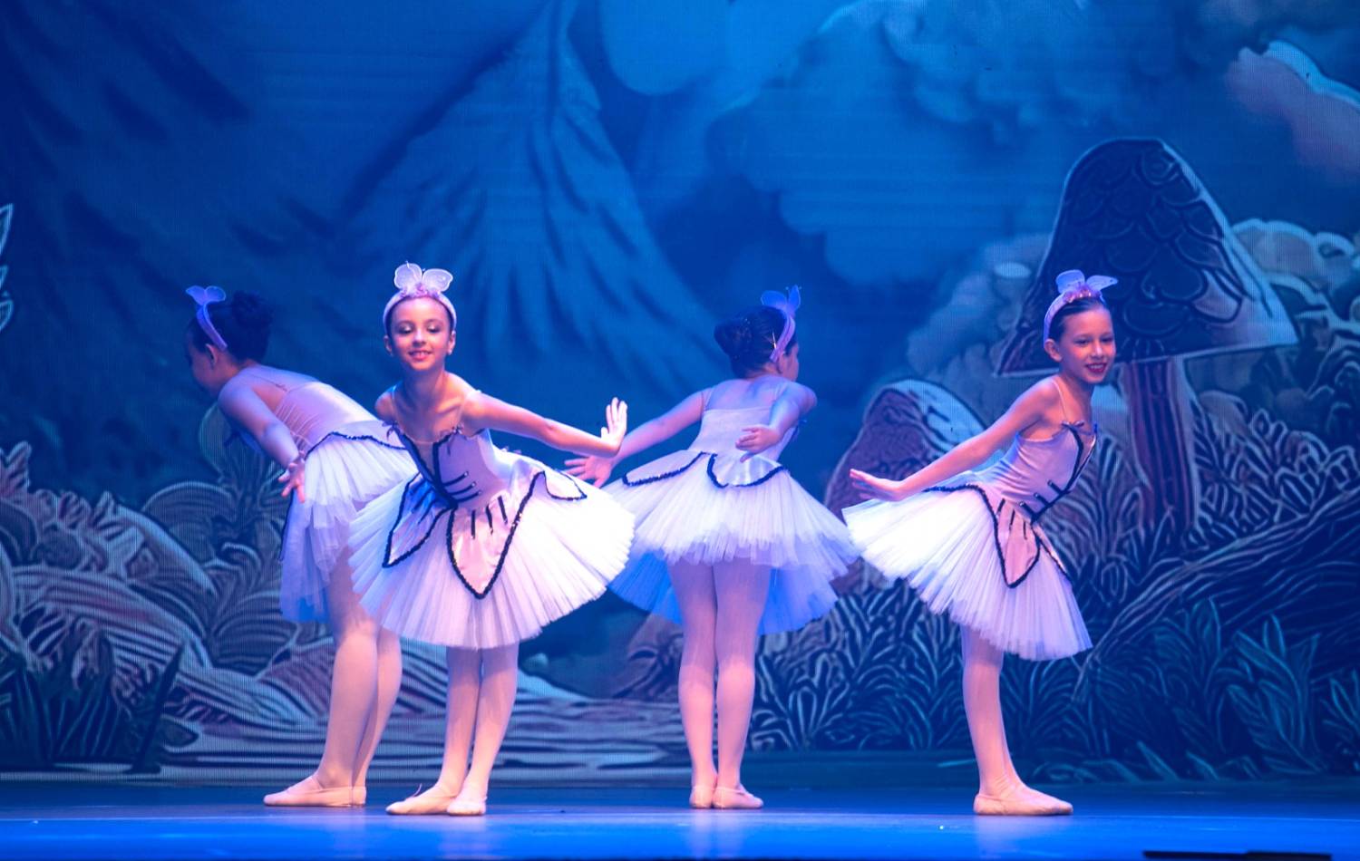 Alice no País das Maravilhas / 3ª Noite