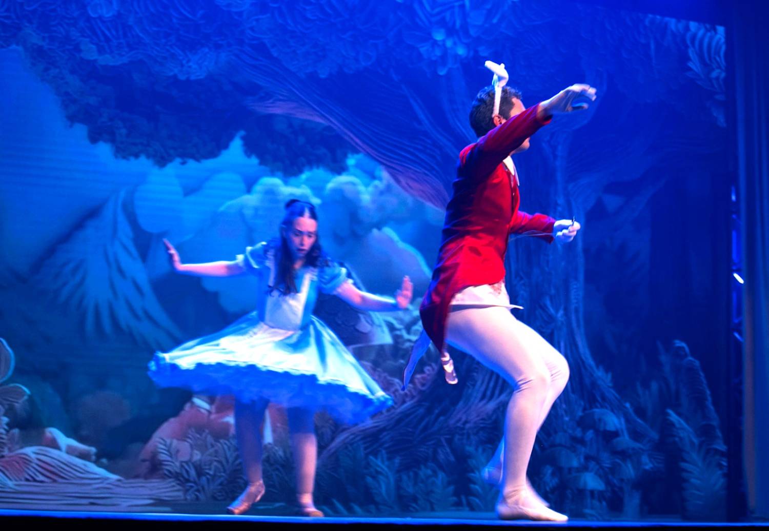 Alice no País das Maravilhas / 3ª Noite