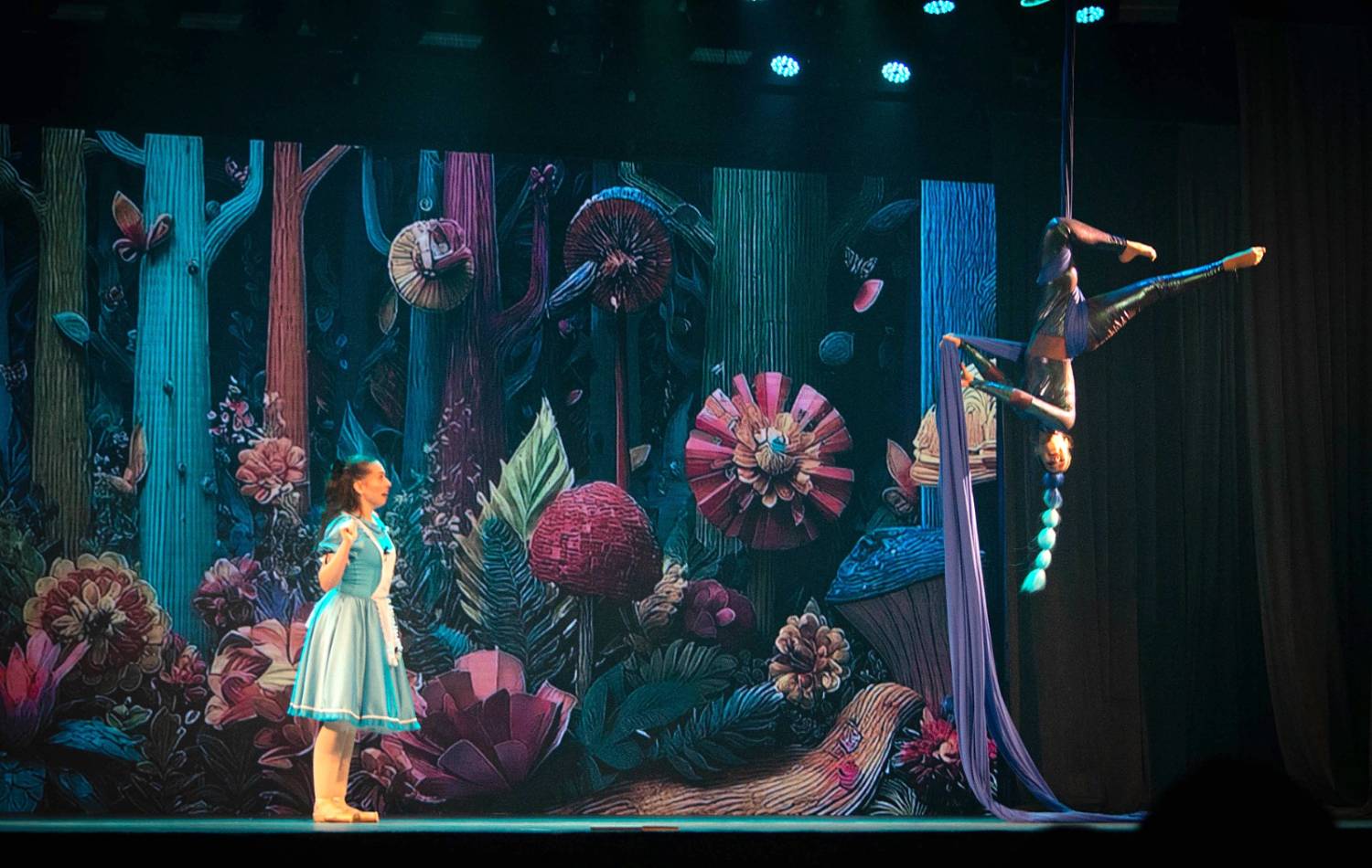 Alice no País das Maravilhas / 3ª Noite