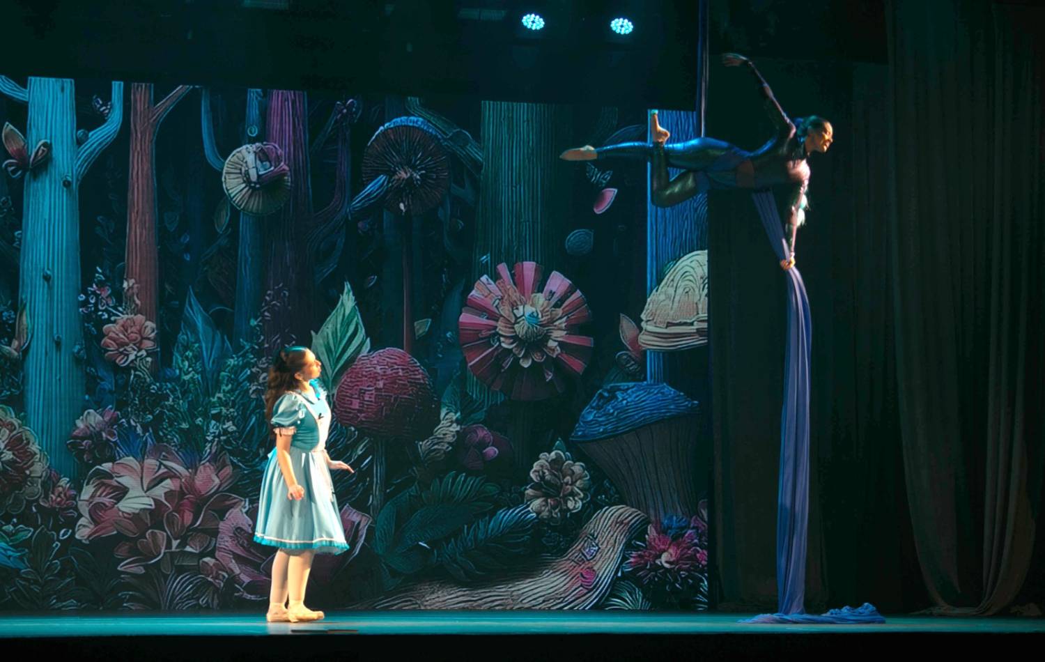 Alice no País das Maravilhas / 3ª Noite