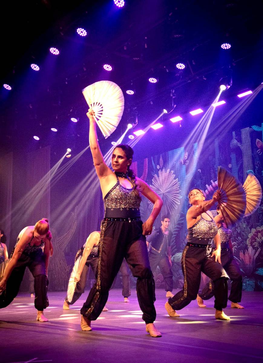 Alice no País das Maravilhas / 3ª Noite