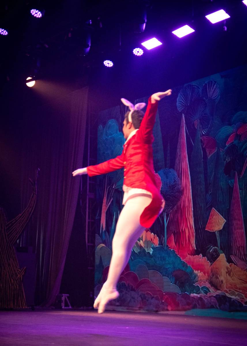 Alice no País das Maravilhas / 3ª Noite