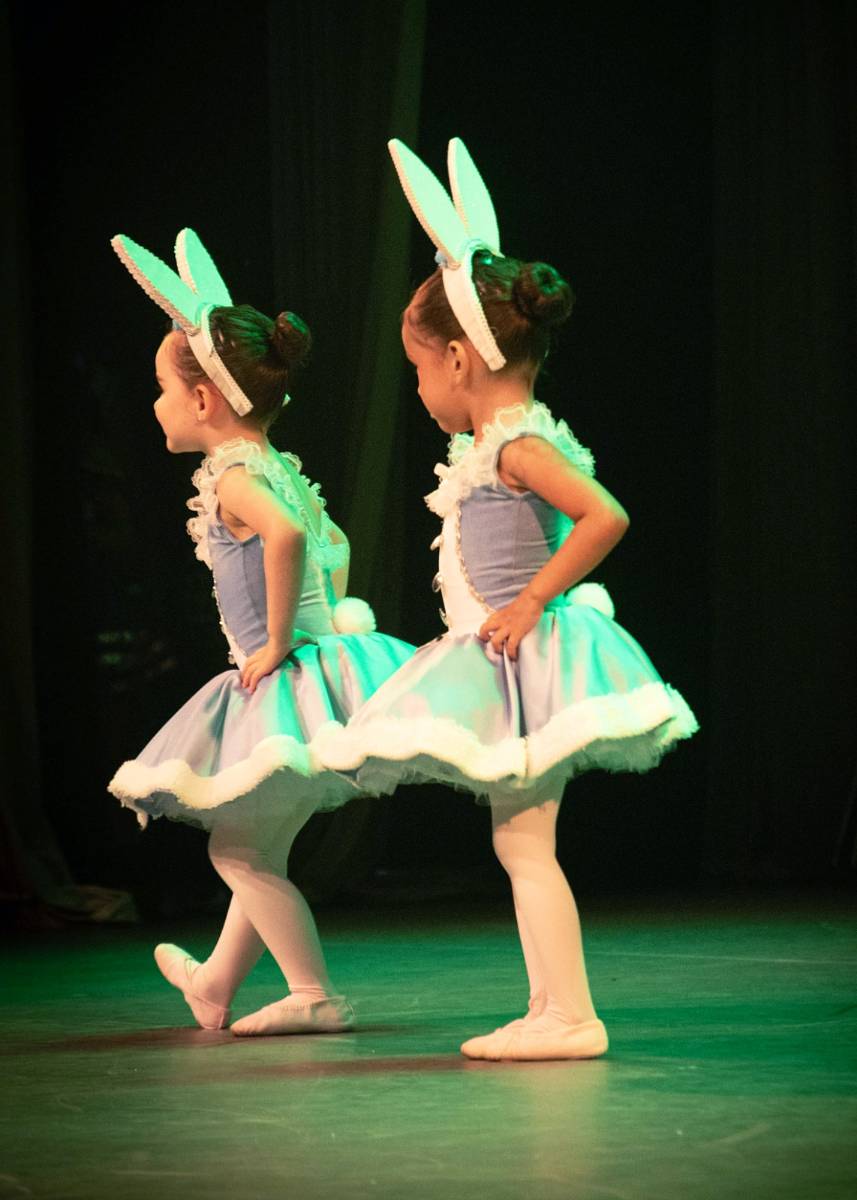 Alice no País das Maravilhas / 3ª Noite