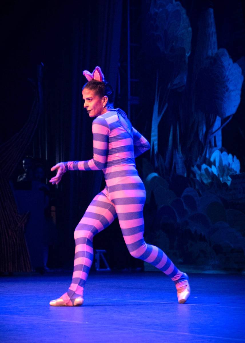 Alice no País das Maravilhas / 3ª Noite