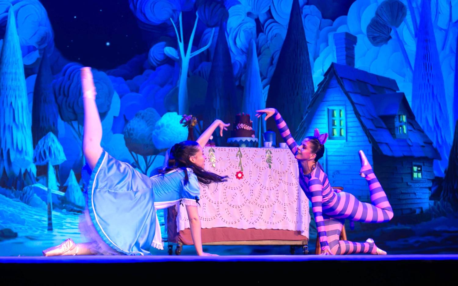 Alice no País das Maravilhas / 3ª Noite