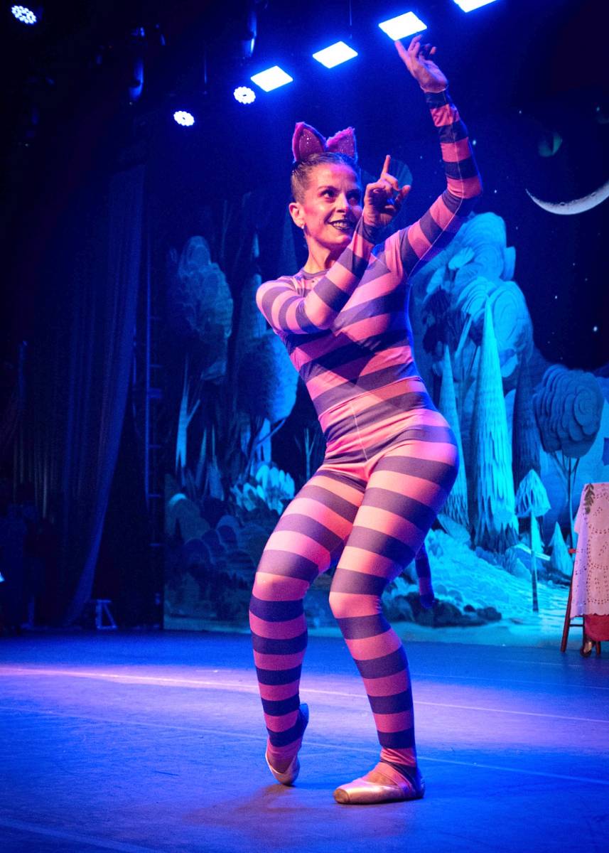 Alice no País das Maravilhas / 3ª Noite