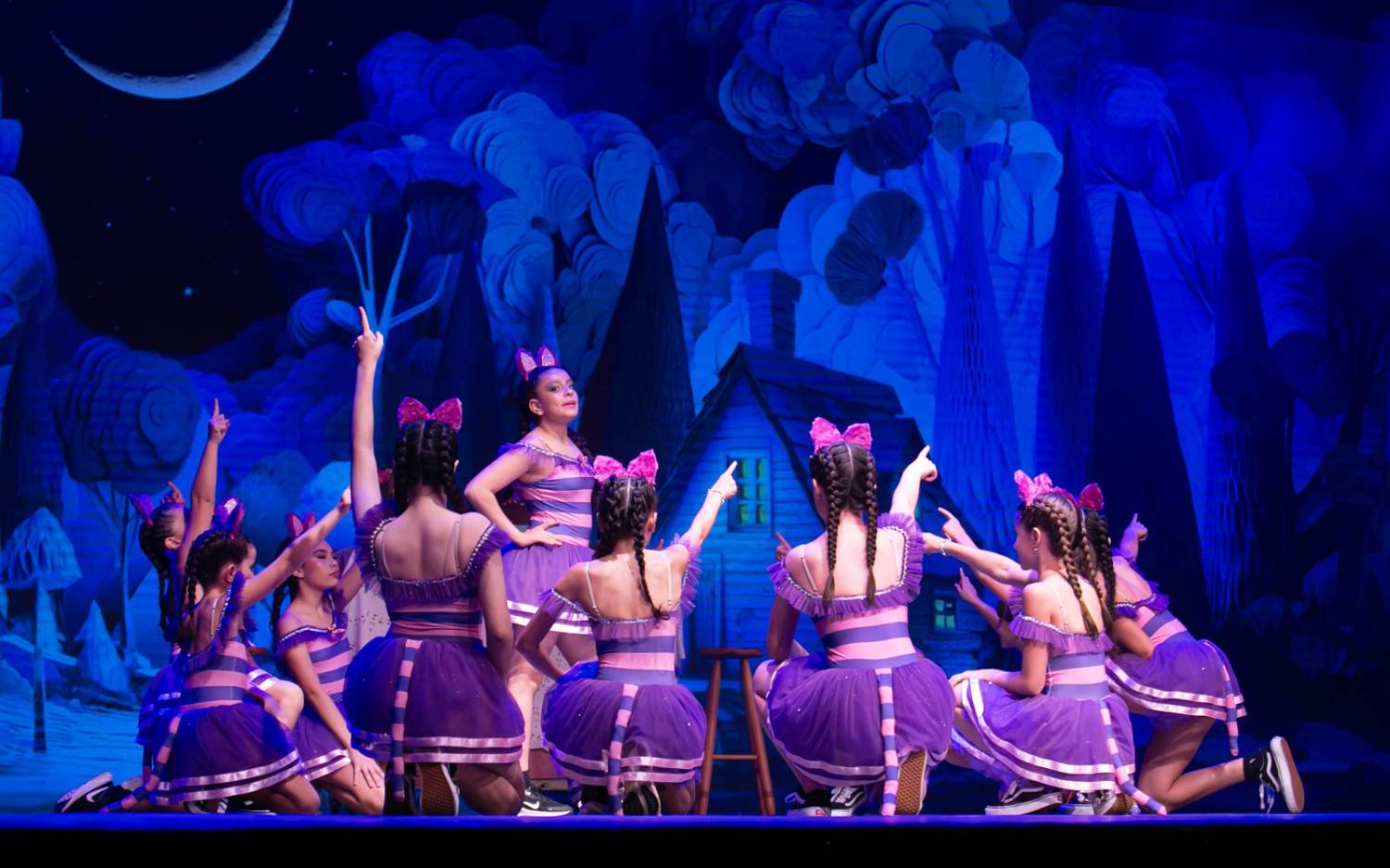 Alice no País das Maravilhas / 3ª Noite