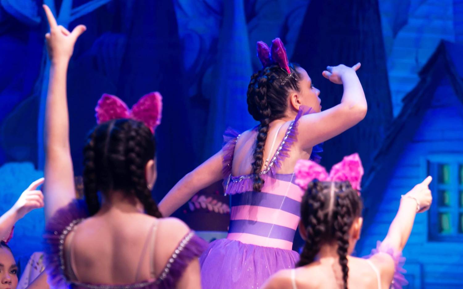 Alice no País das Maravilhas / 3ª Noite