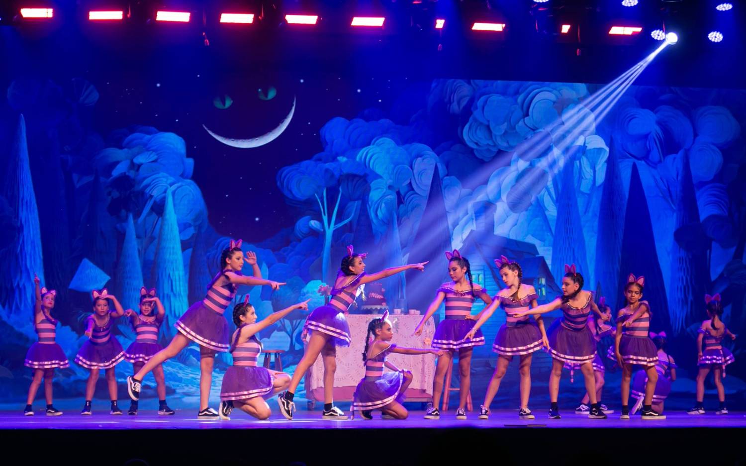 Alice no País das Maravilhas / 3ª Noite