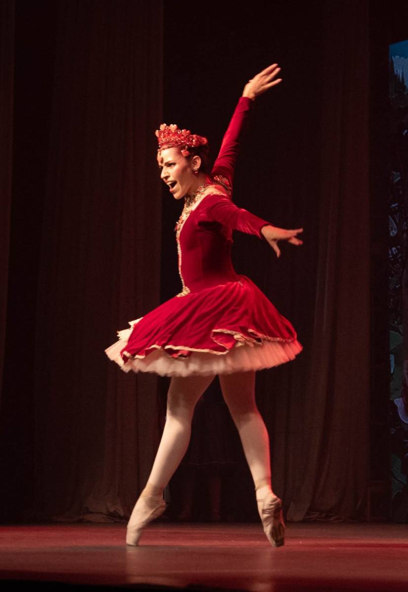 Alice no País das Maravilhas / 3ª Noite