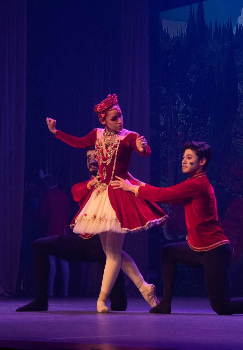 Alice no País das Maravilhas / 3ª Noite